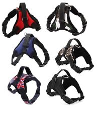 1 Harnais Chien - Taille S M L XL - 6 coloris, réglable  livraison offerte PROMO