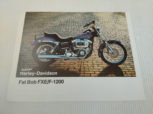 Harley davidson fat bob - davidson, fxe/f