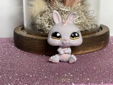 🌸 petshop lapin nain