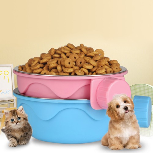 Pet chien cat bol chats - pet,