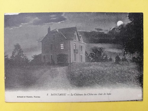 Cpa montaigu le - le, chÂteau