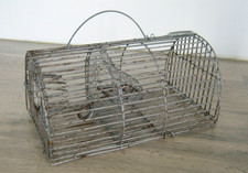 Petit Piège à Rongeurs