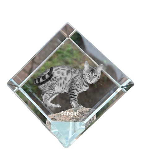 Bengal dé cristal avec un - dé,