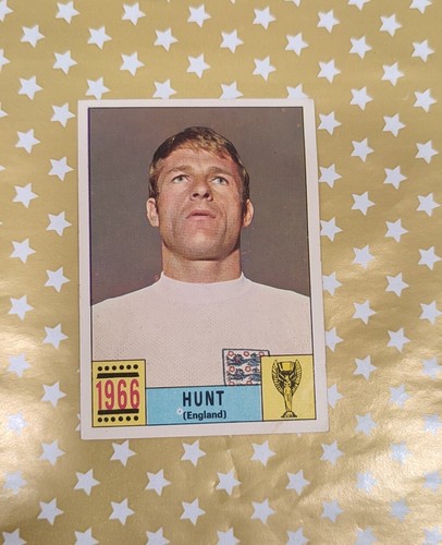 Album panini world cup - album,