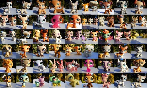 Petshop pet shop lps - petshop,