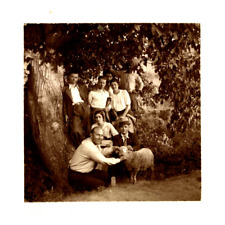 Greece, Edessa, Family with a Sheep, Vintage Print, ca.1910 Print D&#039;