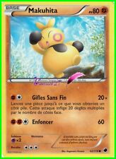 Pokemon Card "Black and White Series" PLASMA GLACIATION French Version