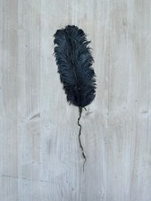 Plume Autruche Chapeau Ancien