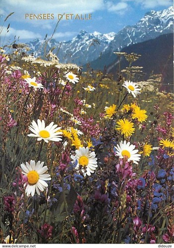 Carte postale belgique - postale,