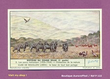 CHROMO LIEBIG : HISTOIRE DU CONGO BELGE, PARCS NATIONAUX PROTECTION NATURE -P122