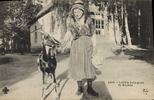Laitière auvergnate sa - auvergnate, —