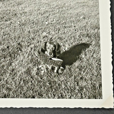 Album Photos 1935 Famille au