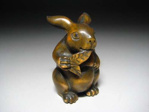 Ancien radis lapin japonais - radis, et