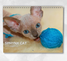 Sphynx Cat Calendar 2026: Monthly Wall Calendar with Notes, opens to A3 Size
