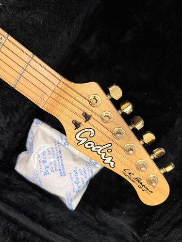 Acoustic guitar godin - acoustic,