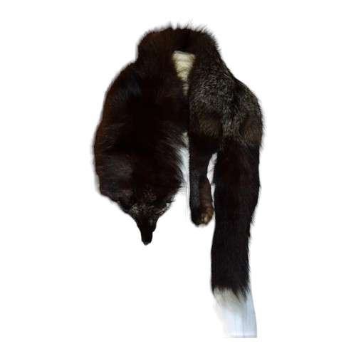 Col fourrure renard p - col,