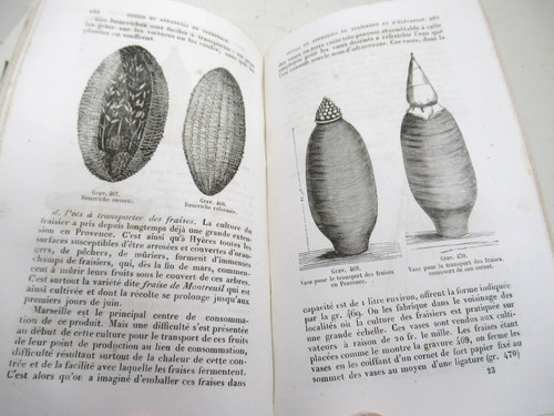 Gravures almanach du - de, bon