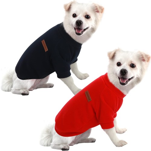 Chihuahua pull pour chat avec - pull,