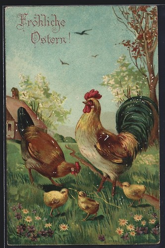 Carte postale gaufrée coq