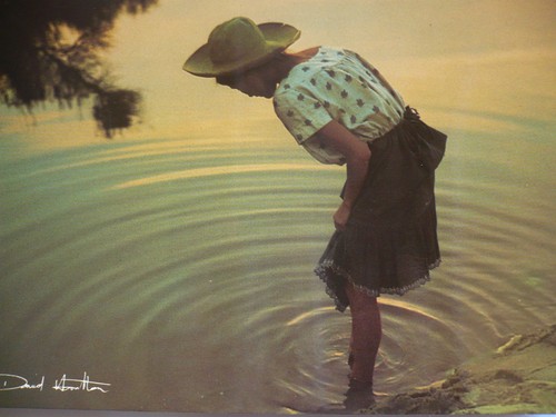 Carte postale david - ,