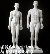 Human Acupuncture Point Massage Model Teaching Education Tool