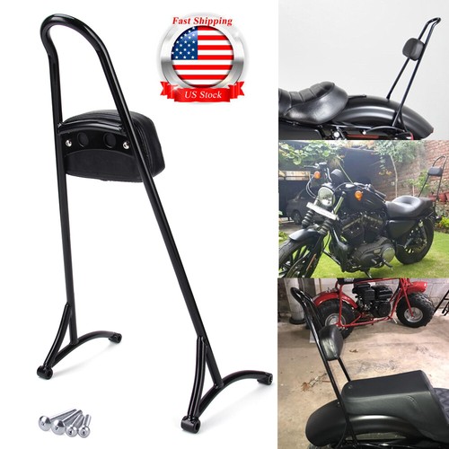 Motorcycle sissy bar - motorcycle,