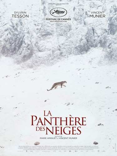 Panthere des neiges affiche - la,