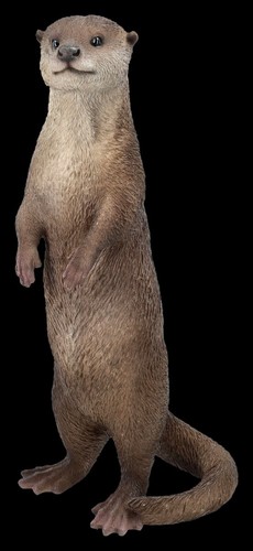 Jardin otter se - otter, tenant