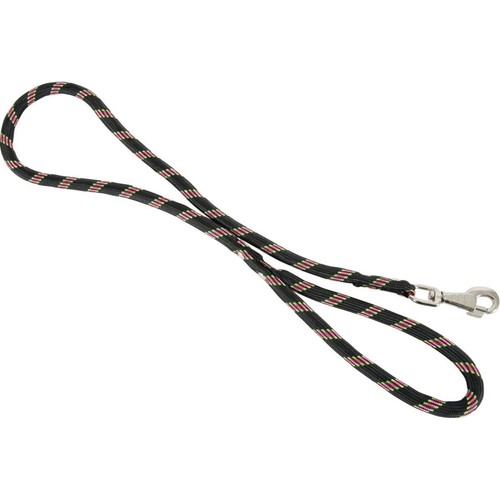 Laisse nylon corde - , noire