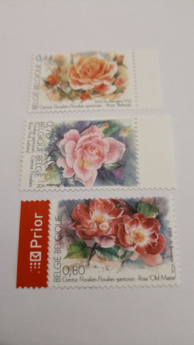 Belgique theme flore - theme, serie
