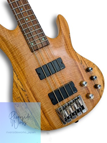 Rare modèle haut gamme esp - rare,