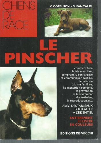 Pinscher corsinovi - .v.corsinovi, /
