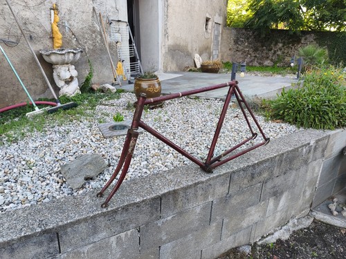 Cadre vélo ancien terrot - vélo,