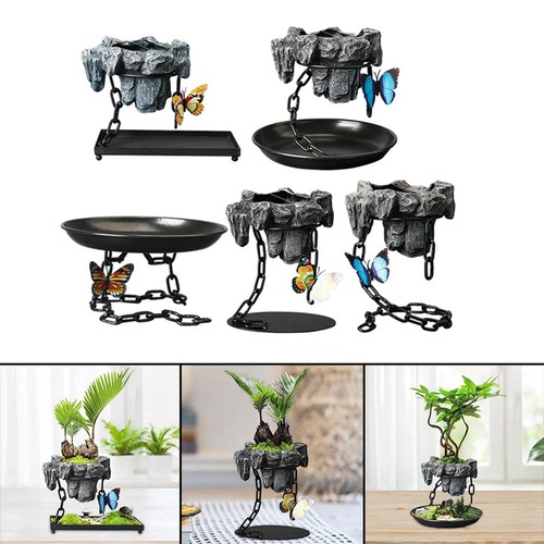 Plante pot planteur jardin - plante,