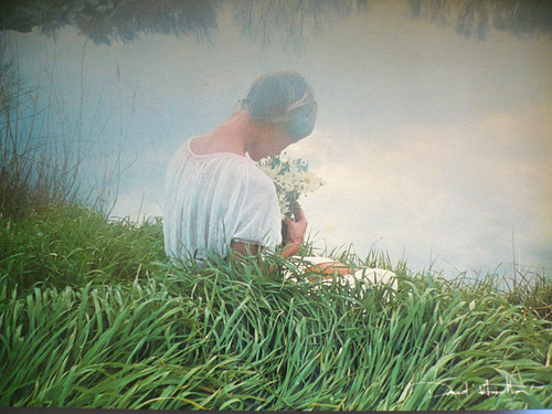 Carte postale david - carte,