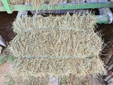 Foin bio certifié coupe 2024