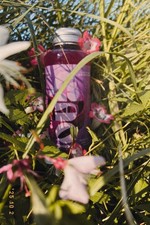 Ciao Kombucha limited edition gp explorer