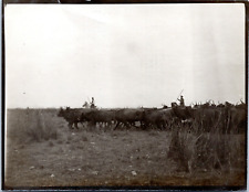 France, Camargue, Guardians, Lescot Manade, 1913 Vintage Silver Print. Print