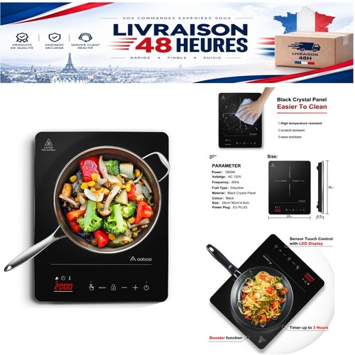 Plaque induction portable