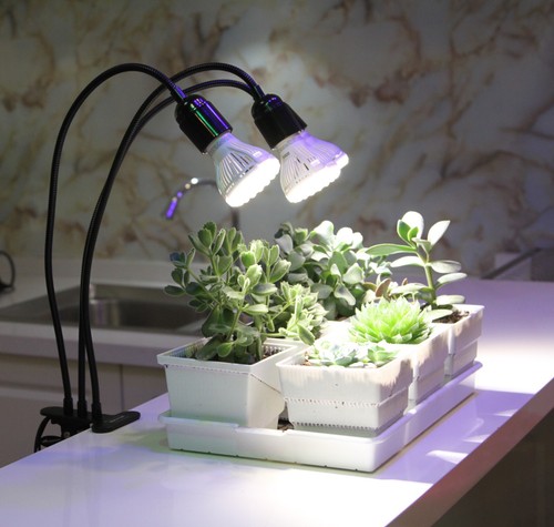Têtes lampe led pour - 2,