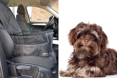 Pour sac chien voiture - sac,