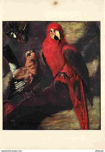 Carte postale animaux - animaux,