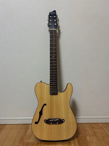 Guitare électrique schecter - guitare,