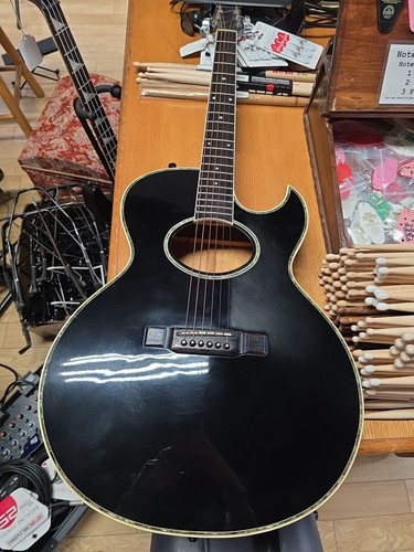 Washburn ea40 woodstock custom - woodstock,
