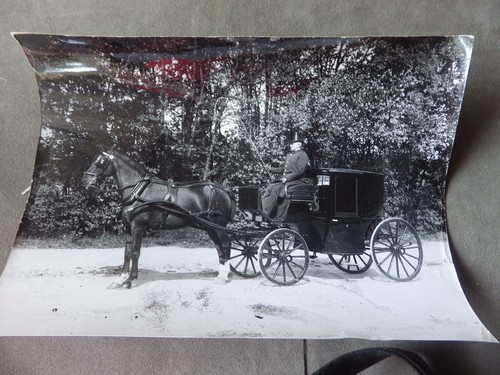 Photo chevaux l - photo, attelage