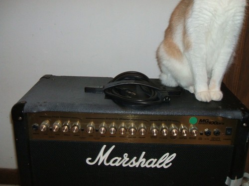 Marshall 100 dfx combo - 100,