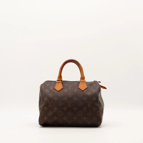 Sac main louis vuitton - main,
