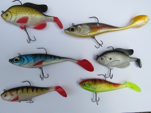 Pêche carnassiers lot - lot, de