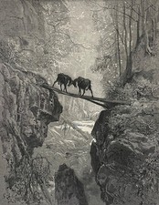 Les deux chèvres Gustave