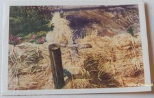 Image CHROMO COTE D'OR Collection FOLKLORE BELGE N°249 - FLANDRE Croix de Bois